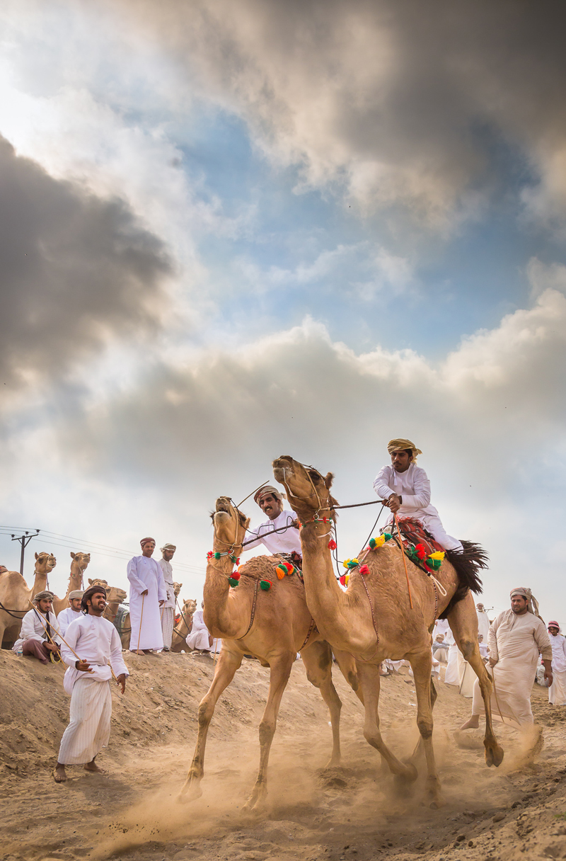 oman safari tourism
